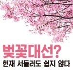 벚꽃대선? 헌재 서둘러도 쉽지 않다