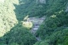 신돈