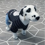 이라운드몰 글로벌이커머스 eroundmall