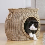 이라운드몰 글로벌이커머스 나비캣 텐트하우스 애견텐트 고양이텐트 인디언텐트