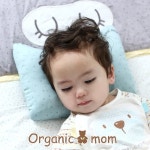 [오가닉맘][AK평택점][오가닉맘] 슈링베개MCR7PC01[패션플러스] - NS홈쇼핑  [오가닉맘][AK평택점][오가닉맘] 슈링베개MCR7PC01... 