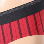 [AK수원][트라이엄프]30%레드 스트라이프 삼각팬티(TMP0802) - NS홈쇼핑  [AK수원][트라이엄프]30%레드 스트라이프 삼각팬티(TMP0802)... 