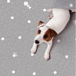  [펫노리터] 퓨어 애견매트 확장형 WIDE 네발로 콩콩 10M