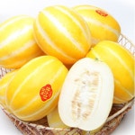  금싸라기 성주 참외 2kg(8~10과)