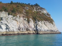 조행기 41 페이지 > 인터넷바다낚시