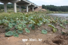 전국공무원노동조합 전남지역본부 전남 보성군청 환경보호과의 환경법 해석의 요지경