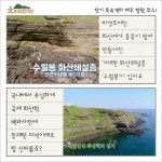민박집 관찰 일기 | 효리네 민박 | 프로그램 | JTBC [5편] 장기 투숙객의 제주 탐험 코스