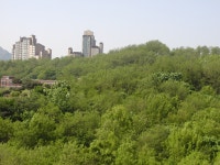 사당동 그린삼호아파트 베란다 전경2 (한여름) | 부동산뱅크 커뮤니티