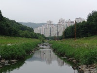 분당천이 있기에 분당이 더욱 아름답습니다 | 부동산뱅크 커뮤니티