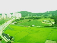 대전 서구 관정동 구봉마을 9단지 조망 | 부동산뱅크 커뮤니티