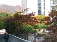 (군포시 궁내동 묘향롯데) 산본아파트는 봤다하면 사고싶은 생각이... | 부동산뱅크 커뮤니티