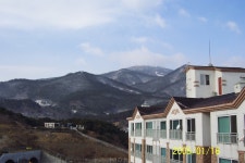 눈오는 날 - 부산 해운대구 좌동 동원듀크 | 부동산뱅크 커뮤니티