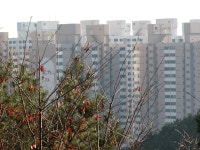 교통,교육,문화,생활편의시설의 중심지..양정현대아파트 | 부동산뱅크 커뮤니티