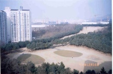 3위일체(큰평수+자연+문화시설) 죽전 동아솔레시티 | 부동산뱅크 커뮤니티