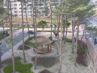 우리 아파트에 처음으로 찾아온 봄소식.. 그 두번째!! | 부동산뱅크 커뮤니티