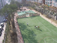 우리 아파트에 처음으로 찾아온 봄소식.. 그 두번째!! | 부동산뱅크 커뮤니티