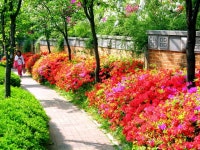 관악구 봉천동 드림타운은 꽃동산2 | 부동산뱅크 커뮤니티