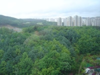 커뮤니티 - 부동산 토론, 아파트 게시판, 청약/분양 게시판, 내집마련 노하우, 내집마련 정보, 게시판 BEST | 부동산뱅크