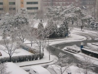 일산 화정동 은빛부영, 605동에서 찍은 금년 3월 눈 내린 후 풍경입니다. | 부동산뱅크 커뮤니티