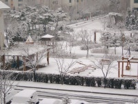 일산 화정동 은빛부영, 605동에서 찍은 금년 3월 눈 내린 후 풍경입니다. | 부동산뱅크 커뮤니티