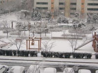 일산 화정동 은빛부영, 605동에서 찍은 금년 3월 눈 내린 후 풍경입니다. | 부동산뱅크 커뮤니티