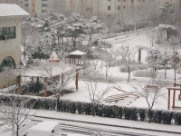 일산 화정동 은빛부영, 605동에서 찍은 금년 3월 눈 내린 후 풍경입니다. | 부동산뱅크 커뮤니티