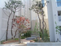 남양주시 도농동 남양i-좋은집 단지내 전경 | 부동산뱅크 커뮤니티