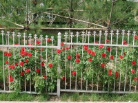 금촌이 이렇게 좋아요2^^ | 부동산뱅크 커뮤니티