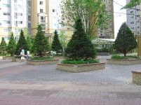 시흥시 은행동 대우푸르지오, 인공수로와 동심의 거리까지... | 부동산뱅크 커뮤니티