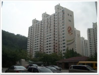 피톤치드가 머리를 맑게 한다---동백아파트 | 부동산뱅크 커뮤니티