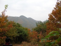 산본의 가을 | 부동산뱅크 커뮤니티