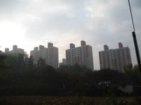 남양주 덕소 아침나절~ | 부동산뱅크 커뮤니티