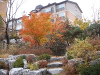 용인 신봉동 삼성쉐르빌 | 부동산뱅크 커뮤니티