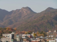 서울 성북구 정릉동 대동황토방 아파트의 가을-2 | 부동산뱅크 커뮤니티