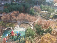 노원구 중계동 대망드림힐 발코니에서... (2) | 부동산뱅크 커뮤니티
