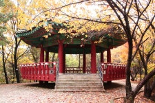 능안공원의 가을풍경(2)-산본 12단지 목련한양 | 부동산뱅크 커뮤니티