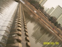 분당 구미동 하얀마을 그랜드빌 주변 탄천로(첫번째-오리떼 풍경) | 부동산뱅크 커뮤니티