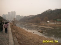 분당 구미동 하얀마을 그랜드빌 주변 탄천로(첫번째-오리떼 풍경) | 부동산뱅크 커뮤니티