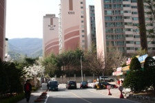 목련마을에 목련꽃이 활짝 피었습니다.-산본목련한양 | 부동산뱅크 커뮤니티