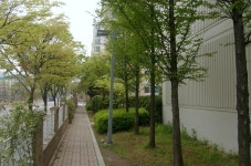 평촌 석수동 3단지내 통로 | 부동산뱅크 커뮤니티