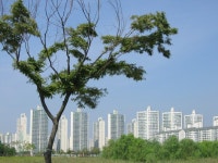 안산의 스카이라인 호수마을풍림아파트. | 부동산뱅크 커뮤니티