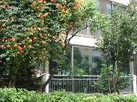 고양시 행신동 무원마을 쌍용한진 | 부동산뱅크 커뮤니티