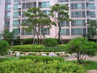 부천 상동 다정한 쌍용 사진 요청하신분들 보셔여.. | 부동산뱅크 커뮤니티