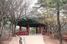 능안공원의 사계(봄편-4) - 산본12단지한양목련 | 부동산뱅크 커뮤니티