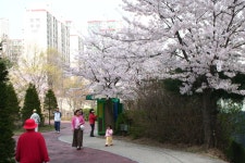 능안공원의 사계(봄편-10) - 산본12단지한양목련 | 부동산뱅크 커뮤니티