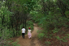 능안공원의 사계(여름편-2) - 산본12단지한양목련 | 부동산뱅크 커뮤니티