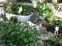 고양시 행신동 무원마을 쌍용한진 아파트 | 부동산뱅크 커뮤니티