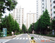 고양시 주엽동 강선보성아파트 입구 | 부동산뱅크 커뮤니티
