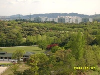 당동 3단지 5월 경치 | 부동산뱅크 커뮤니티
