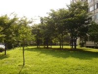 커뮤니티 - 부동산 토론, 아파트 게시판, 청약/분양 게시판, 내집마련 노하우, 내집마련 정보, 게시판 BEST | 부동산뱅크